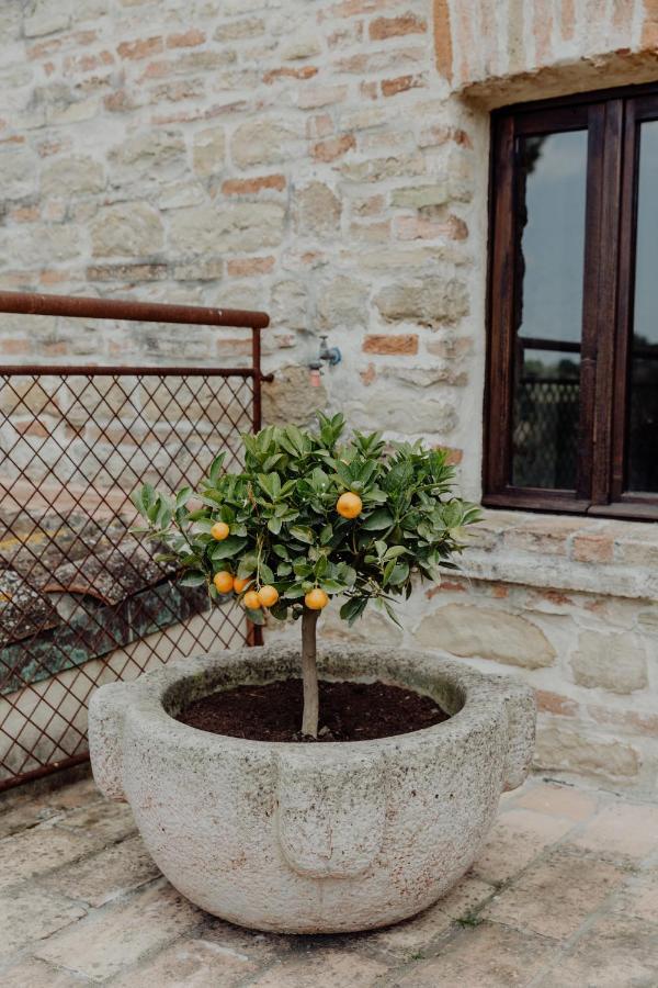 Agriturismo Qui Voglio Monte Roberto Extérieur photo